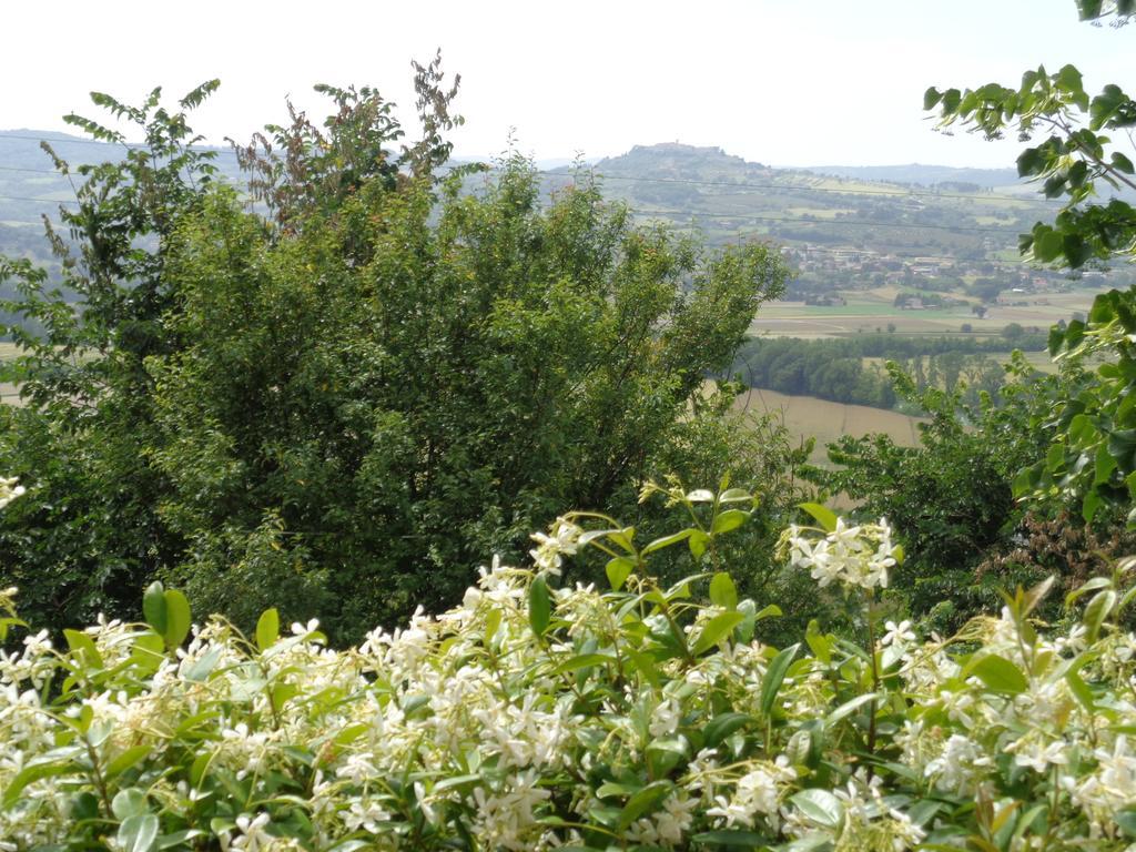 Agriturismo La Torraccia Todi Exteriér fotografie